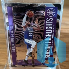 2020-21 Panini Illusions LeBRON JAMES Season Highlights #8 - Los Angeles Lakers